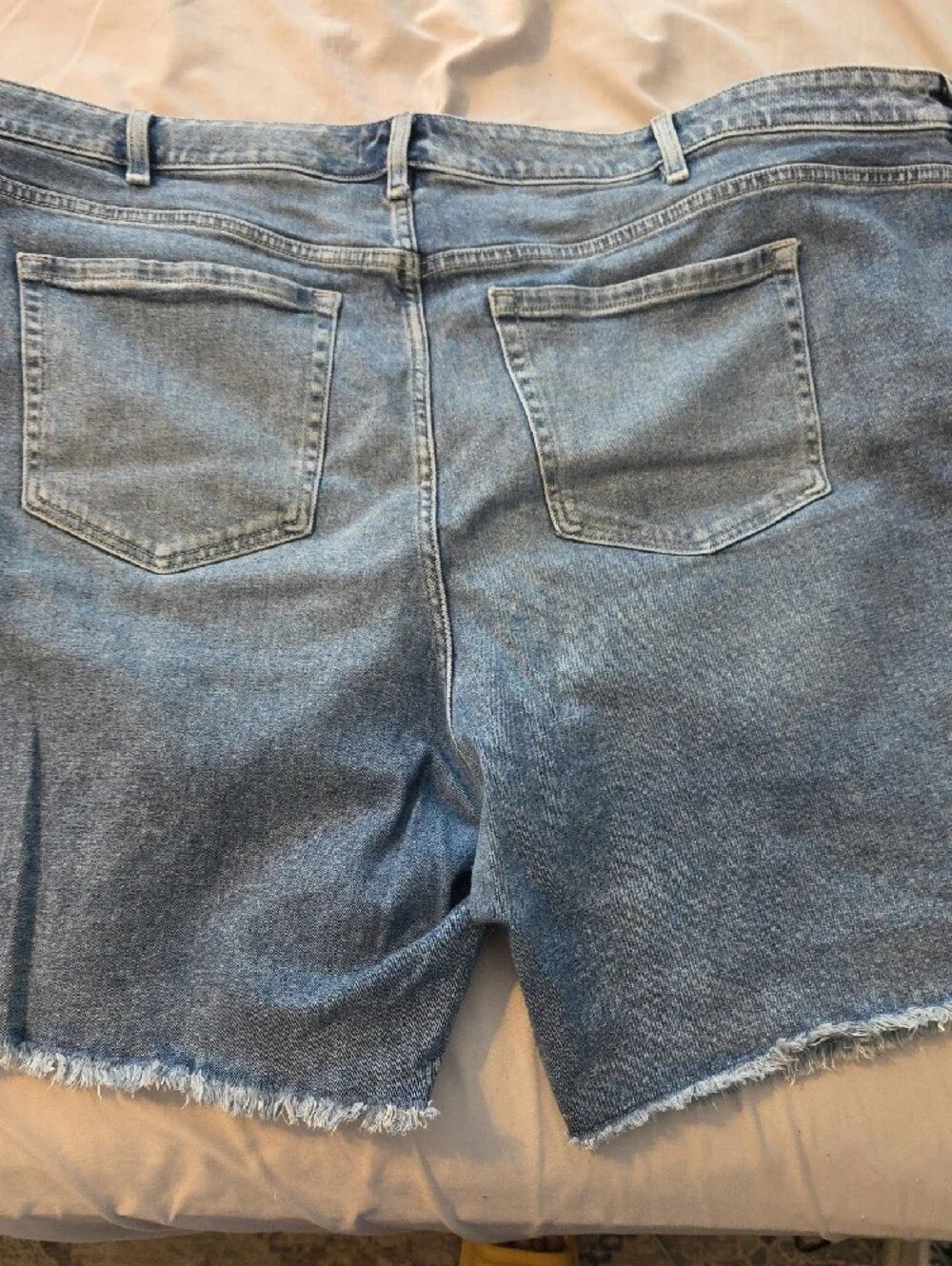Lane Bryant Light Blue Distressed Denim Shorts